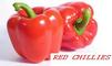 Red Chilles: Regular Seller, Supplier of: green capsicum, red capsicum, yellow capsicum, marrigold flowers, button rose.