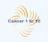 Cancer 1 to 10: Seller of: suplement, health product, viatamins. Buyer of: anticancer, medicines, skin medication.