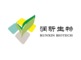 Shandong Runxin Biotechnology Co., Ltd.: Regular Seller, Supplier of: hyaluronic acid food grade, hyaluronic acid cosmetic grade, hyaluronic acid eye drop grade, hyaluronic acid injection grade.
