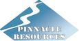 Pinnacle Resources: Seller of: baby diapers, frozen fish, coal, t-shirts, starch, clove, fennel.