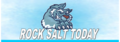 Rock Salt Today: Seller of: icumsa 45, sugar, potash, beet, raw, rock salt suppliers, rocksalt sales.