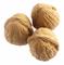 Himalayan International Enterprises: Seller of: walnuts, walnut kernels, almond, almond kernels, saffron, apricot, keshew nuts. Buyer of: walnuts, almond.