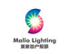 Hongkong Malio lighting co., ltd: Seller of: led strip, led lights, lighting, strip lights, lights.