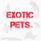 Thai Exotic Pets: Seller of: exotic pets, bearded dragon, albino softshell turtle, meerkat, sugar glider, ornamental fish, veiled chameleon, hedgehog.