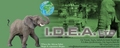 Idea Travel Africa: Buyer of: computers related, stationeries.