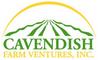 Cavendish Farm Ventures, Inc: Seller of: fresh bananas, fresh pineapple, mature cococnuts. Buyer of: fertilizers, farm chemicals.
