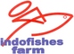 Cv. Indofishes Farm: Seller of: ornamental fresh water fish.
