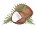 PT. Buah Kelapa Emas: Regular Seller, Supplier of: virgin coconut oil, desiccated coconut, coconut suply.