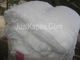 ALFABETH: Seller of: raw cotton fiber, comber noil cotton, cotton, yarn scrap, yarn waste.