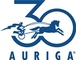 Auriga Inc.: Seller of: software for medical devices, embedded software, engineering, software for mobile devices, firmware development, re-engineering, enterprise software, system-level develpment, software testing.