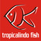CV. Tropicalindo Fish: Seller of: discus, neon tetra, black ghost, guppy, molly, platy, silver dollar, angel fish, black tetra.