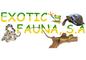 Exotic Fauna, S.A.: Seller of: red eyed tree frog, green basilisks, clubtail iguanas, turtles, black spinytail iguanas, black tarantulas, striped tarantulas, glass frogs.