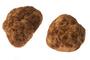 Zewa Company: Regular Seller, Supplier of: truffle, truffles.