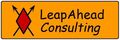 Leap Ahead Consulting