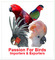 Passion For Birds: Seller of: parrots, budgriger, cockateil, love birds, indian ringneck, grey parrot, mynah, peacock, finches. Buyer of: grey parrot, macaws, swan, gouldian finch, canaries, rosella, cockatoos, lorikeet, crown pigeon.