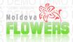 Moldova Flowers