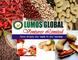 Lumos Global Ventures Limited: Seller of: soya beans, cashew, sesame, palm oil, garlic, groundnut, pepper, maize, cocoa.