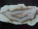 Chambers Precious Stones: Seller of: agates, amethyst, feldspars, opals, ruby, sapphires, tanzanites, tourmalines, garnets.