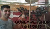 Guney Pet Shop: Regular Seller, Supplier of: budgie, coctails, african grey parrot, canaries, lories, rossella, macaw, cat, dog. Buyer, Regular Buyer of: budgie, coctail, african grey parrot, canary, lories, rossella, macaw, cat, dog.