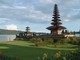 UD Sinar Jaya: Seller of: bonsai gallery, exotic plant, furniture high quality, land for lease in bali, painting of maestro, villa for sale in ubud, land for sale in bali, tour guide services, land for sale in ubud.