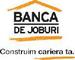 Banca de Joburi Ltd: Regular Seller, Supplier of: romanian, staff, provider.