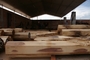 Lumber sourcing: Seller of: ipe logs, teak logs, kabucali logs, melina logs, bocote logs, sande logs, saman logs, mascarey logs, white oak logs.