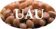 Ukrainian Agro Union: Regular Seller, Supplier of: coriander, flax seed, hulled millet, mustard, organic millet, red millet, whyte millet, yellow millet.