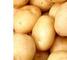 Global Marketing: Regular Seller, Supplier of: potato, onion, orange, banana, manago, peach.