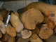 Spicatum Sandalwood Resources: Seller of: spicatum sandalwood oil, spicatum sandalwood powder, spicatum sandalwood hydrosol, spicatum sandalwood spent charge, spicatum sandalwood logs.
