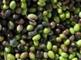 Alkadri: Seller of: food, olive oil, olive, canned food. Buyer of: olive oil, olive, oil.